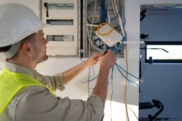 Best Electric Panel Repair  in Chittenango, NY